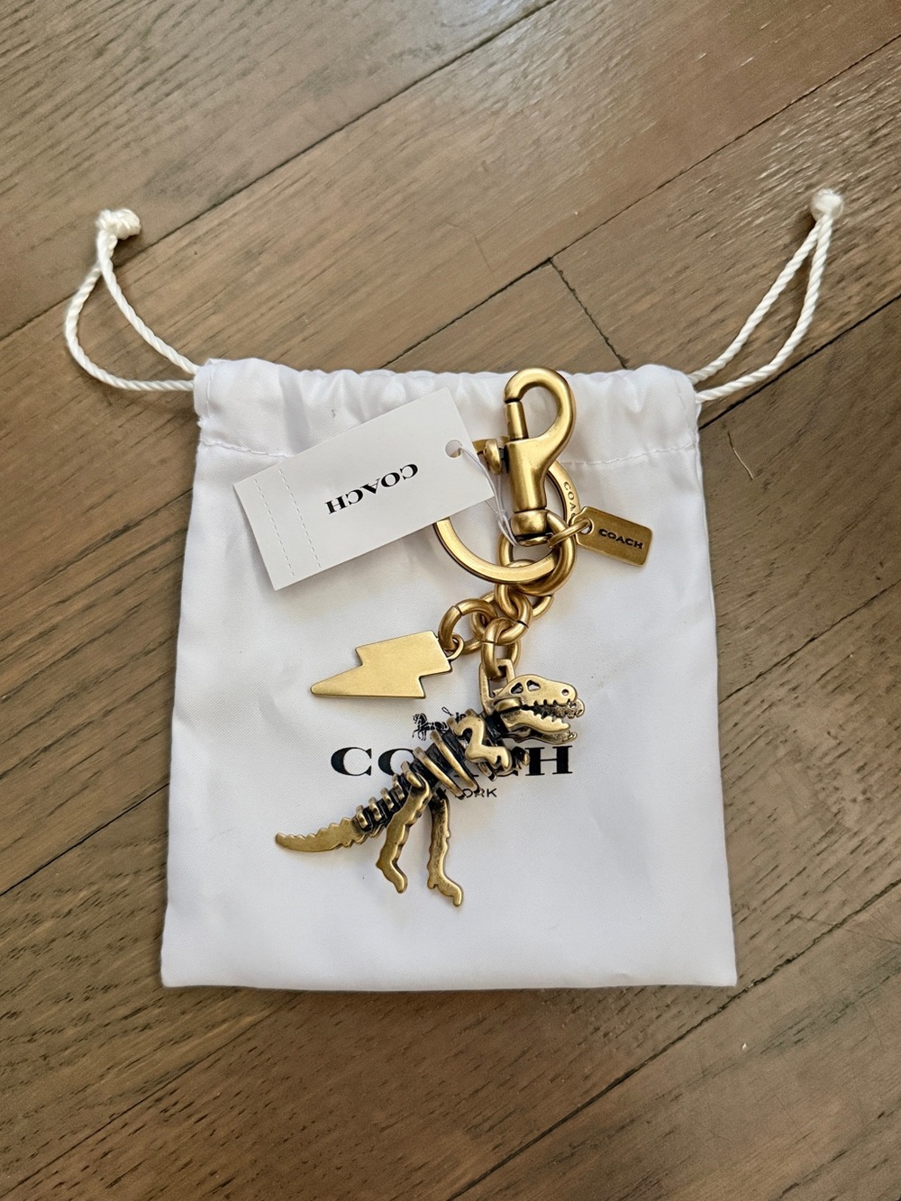 NWT Coach Dinosaur rexy brass Skeleton Charm Keychain